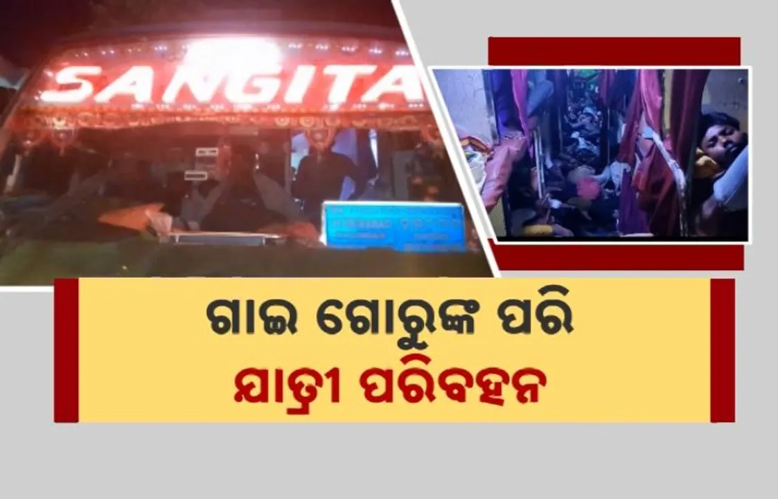  ଶ୍ରମିକଙ୍କ ଜୀବନ ସହ ସାଂଘାତିକ ଖେଳ । ଗାଈ ଗୋରୁଙ୍କ ପରି ଯାତ୍ରୀ ପରିବହନ