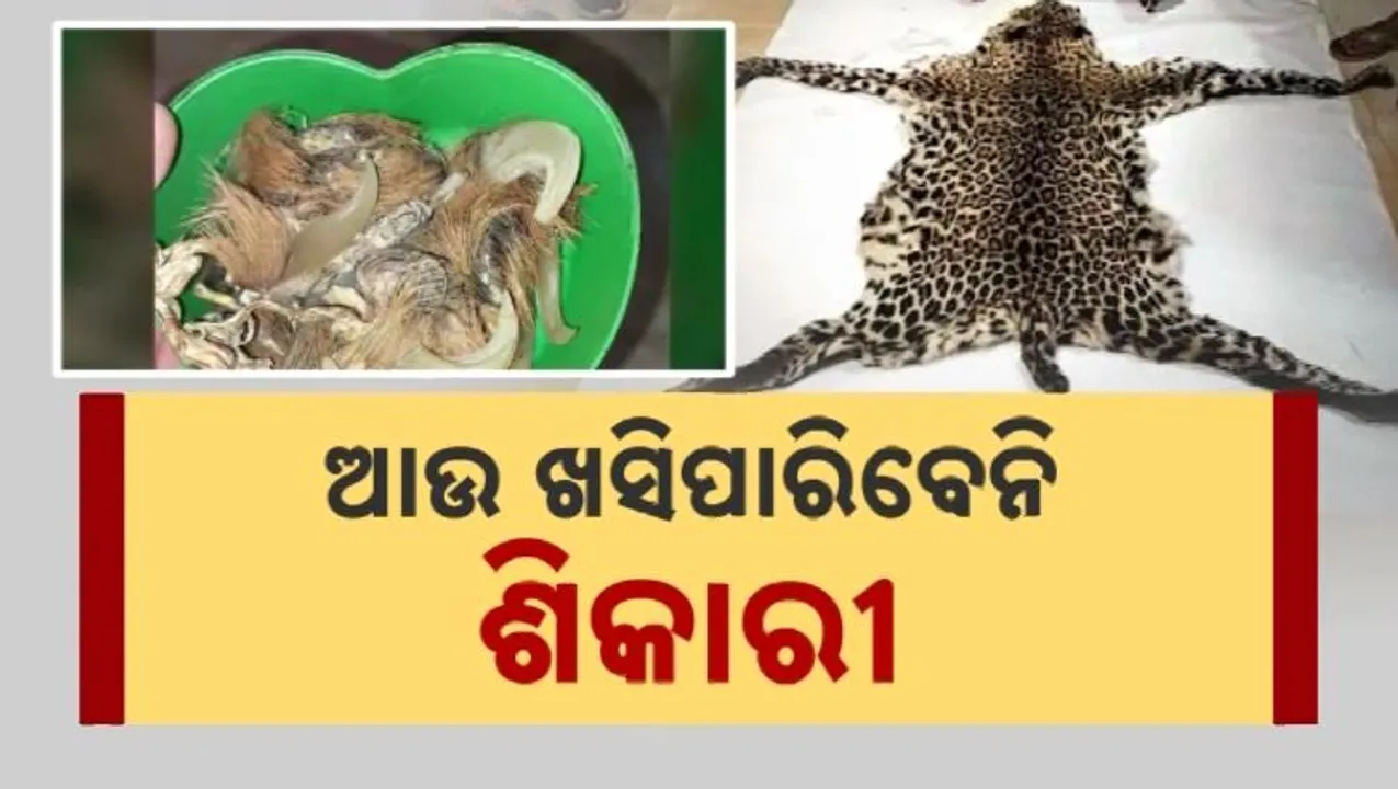  ଆଉ ଖସିପାରିବେନି ଶିକାରୀ । ୩୦ ଜିଲ୍ଲାରେ ୩୦ ସ୍ବତନ୍ତ୍ର ବନ୍ୟପ୍ରାଣୀ କୋର୍ଟ ପାଇଁ ପ୍ରକ୍ରିୟା ଆରମ୍ଭ