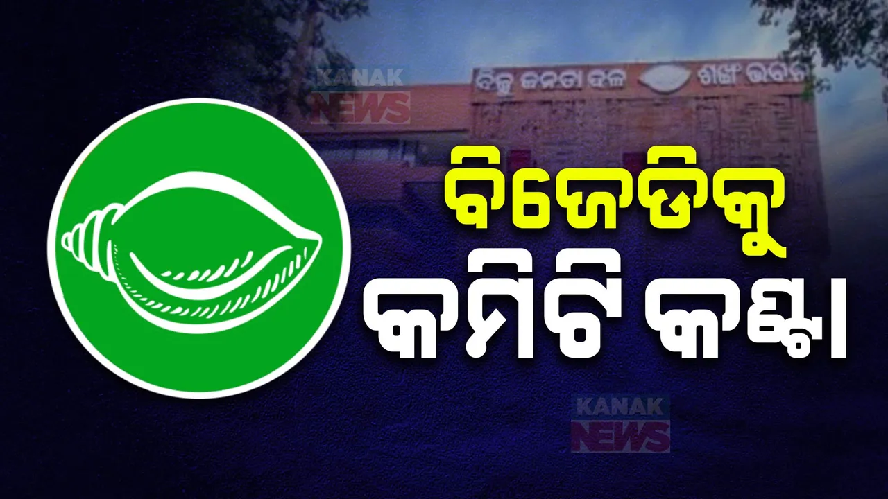  ବିଜେଡିର ‘କମିଟି’ କଣ୍ଟା: କେବେ ଘୋଷଣା ହେବ ରାଜ୍ୟ କମିଟି?