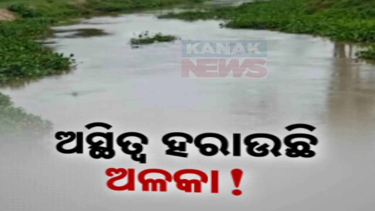  ନାଳରେ ପରିଣତ ହେଲାଣି ଅଳକା ନଦୀ, ଜବରଦଖଲ ଉଚ୍ଛେଦ ଆଳରେ ୧ କୋଟି ୯୦ ଲକ୍ଷ ଅନୁଦାନ ଚଳୁ ଅଭିଯୋଗ
