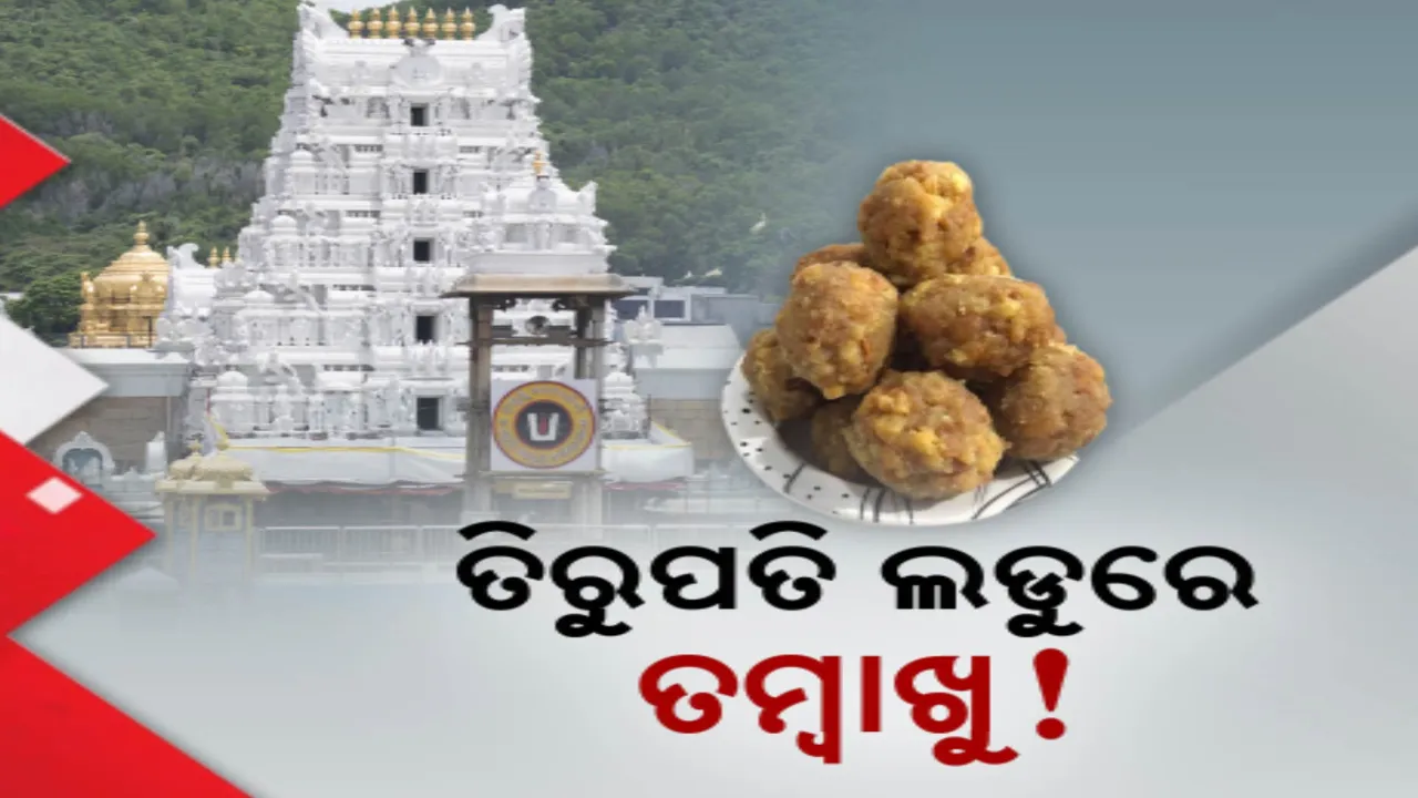  ତିରୁପତି ଲଡୁ ବିବାଦ ଭିତରେ ଆଉ ଏକ ସଙ୍ଗୀନ ଅଭିଯୋଗ ;  ଶ୍ରଦ୍ଧାଳୁଙ୍କ ଦାବି, ଲଡୁରେ ମିଳିଛି ତମ୍ବାଖୁ ଓ ସିଗାରେଟ ଗୁଣ୍ଡ ।