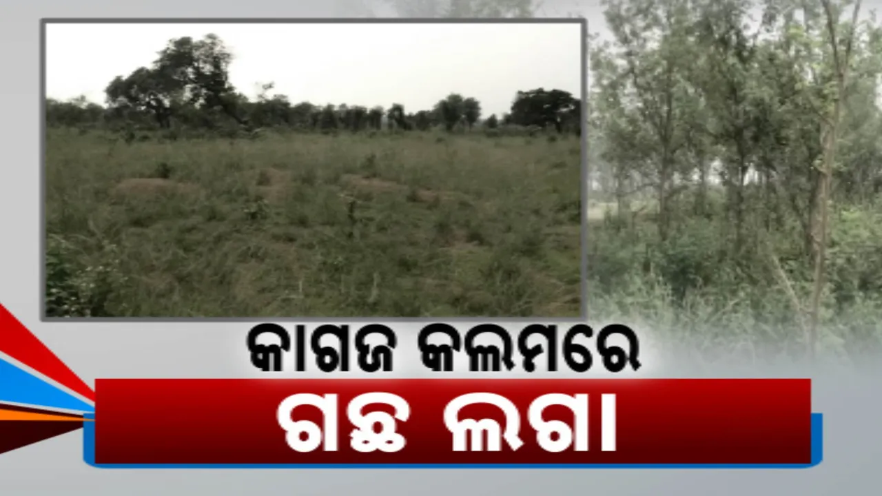  ଝାରସୁଗୁଡା କୋଲାବିରା ବନବିଭାଗର ବଡ଼ ଦୁର୍ନୀତି । କାଗଜ କଲମରେ କରାଯାଇଛି ବନୀକରଣ
