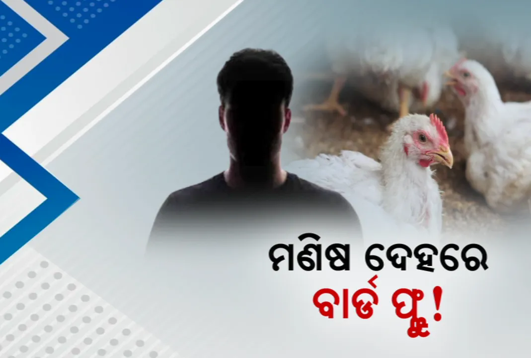  ମଣିଷ ଦେହରେ ବାର୍ଡ ଫ୍ଲୁ ! RMRC କୁ ଗଲା ସଂପୃକ୍ତ ବ୍ୟକ୍ତିଙ୍କ ରକ୍ତ ନମୁନା