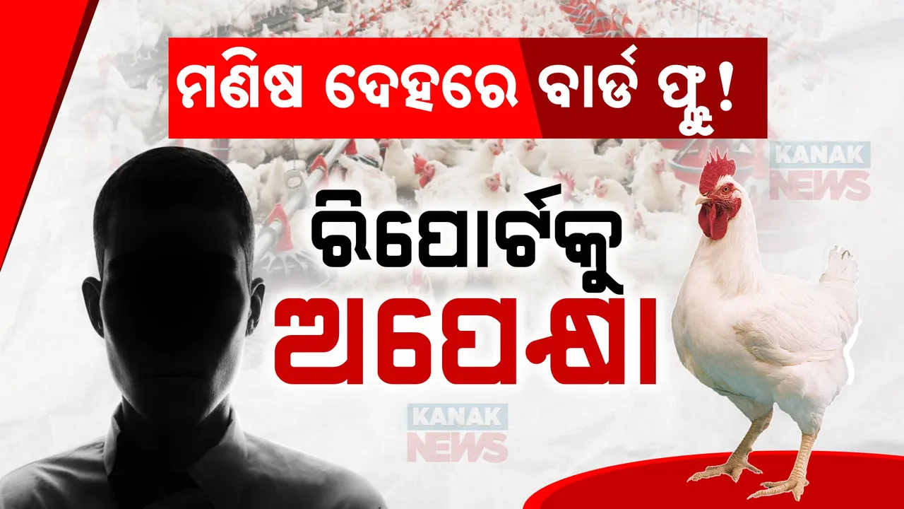  ବାର୍ଡ ଫ୍ଲୁ ଦ୍ୱନ୍ଦ୍ୱ ବଢାଉଛି ଭୟ  । ବିଭାଗ-ବିଭାଗ ମଧ୍ୟରେ ରହୁନି ତାଳମେଳ !