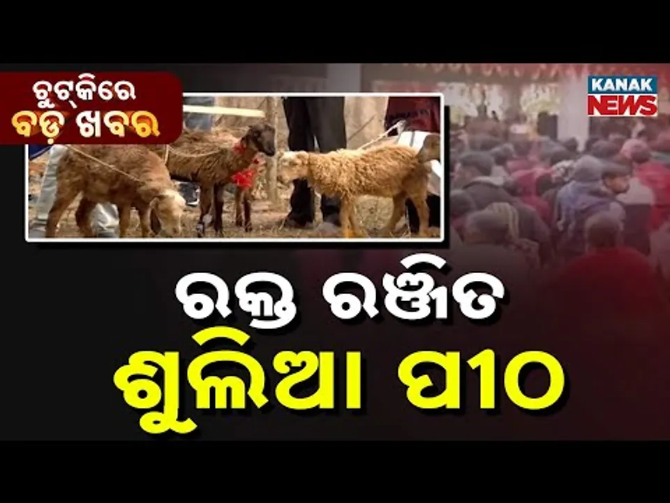 Chutkire Bada Khabar || 23rd December 2025 || 11AM Digital Bulletin || Kanak News