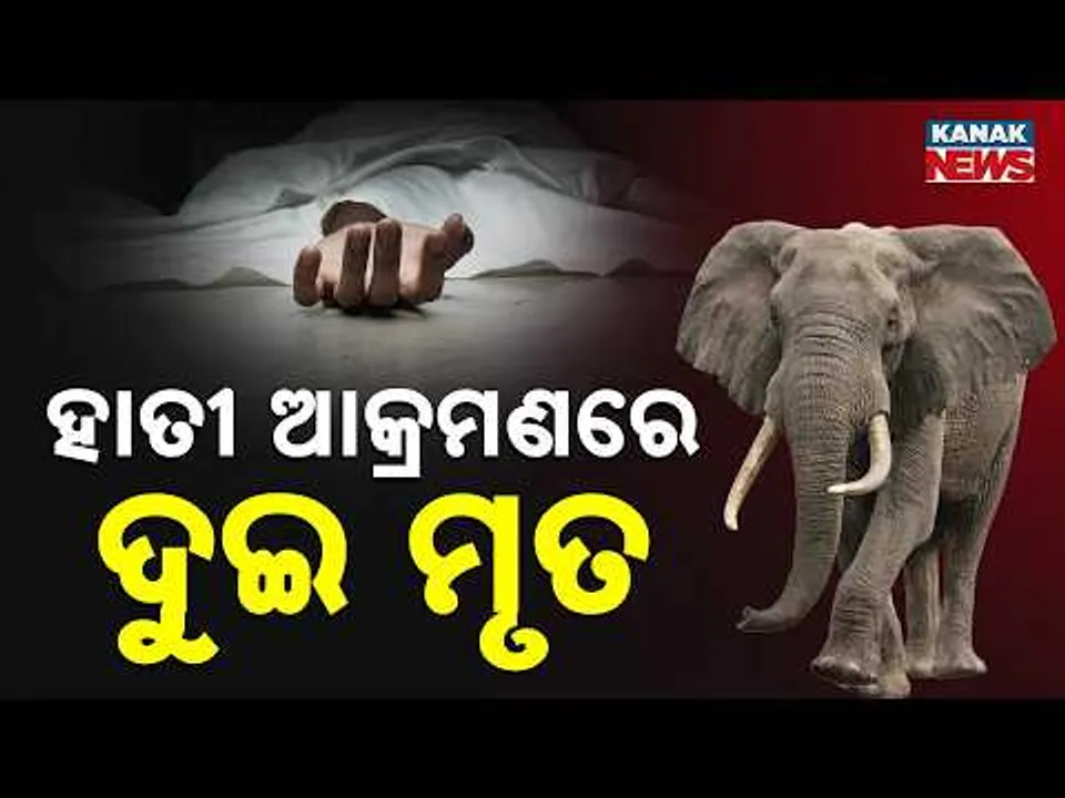 Two Villagers Killed in Elephant Attack in Ganjam’s Digapahandi Area | Odisha News
