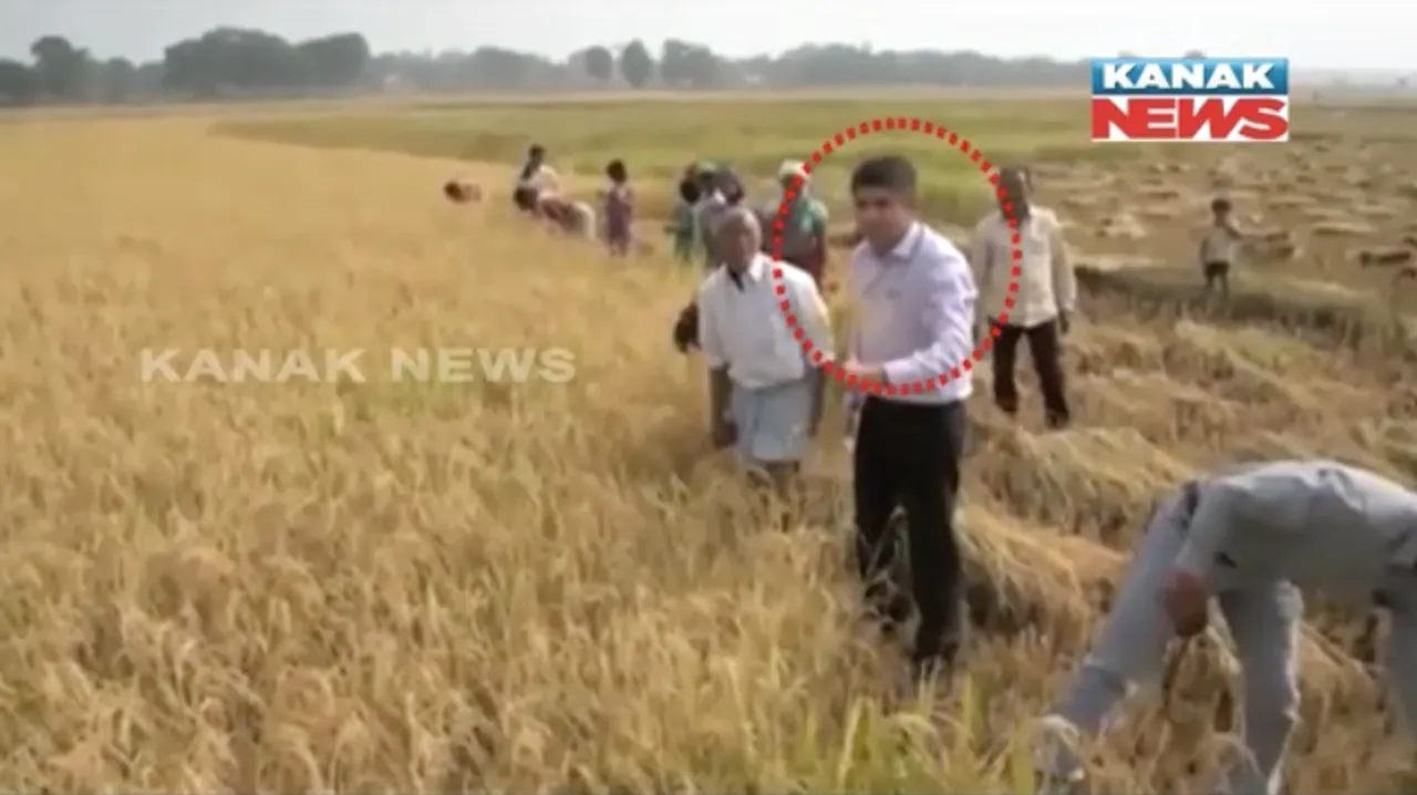  ଚର୍ଚ୍ଚାରେ ବସ୍ତର ଜିଲ୍ଲାପାଳ ଅମିତ କଟାରିଆ : ଘଂଟାଏ ଧରି ଜମିରେ କାଟିଲେ ଧାନ