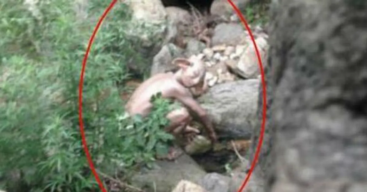  Photo Courtesy : http://theviralindia.com 