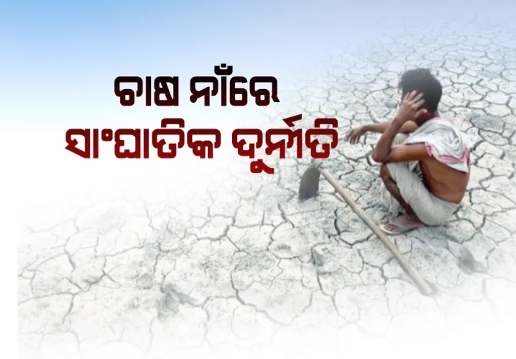  ଚାଷୀ ଦୁର୍ନୀତିର ପର୍ଦ୍ଦାଫାସ ! ନିଜସ୍ୱ ଫାଇଦା ପାଇଁ ଚାଷୀ ଭାଗ୍ୟ ସହ ଖେଳିଲେ ସରକାରୀ ବାବୁ