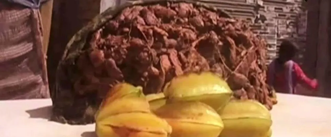  ଯୋଗୀ ଶାସନରେ ଲୋକେ ହେଲେ ଭିକାରୀ ! ବିରିଆନି ଏବଂ କବାବ୍ ଜାଗାରେ ବିକିଲେ କରମଙ୍ଗା ଓ ତେନ୍ତୁଳି