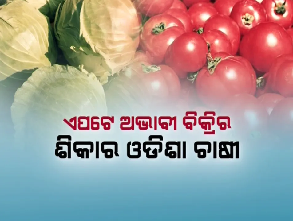  ଓଡିଶା ବଜାରରେ ଛତିଶଗଡ ମାଲାମାଲ୍ ! ପଶ୍ଚିମ ଓଡିଶାକୁ ଆସୁଛି ପଡୋଶୀ ରାଜ୍ୟରୁ ଟ୍ରକ ଟ୍ରକ୍ ପରିବା