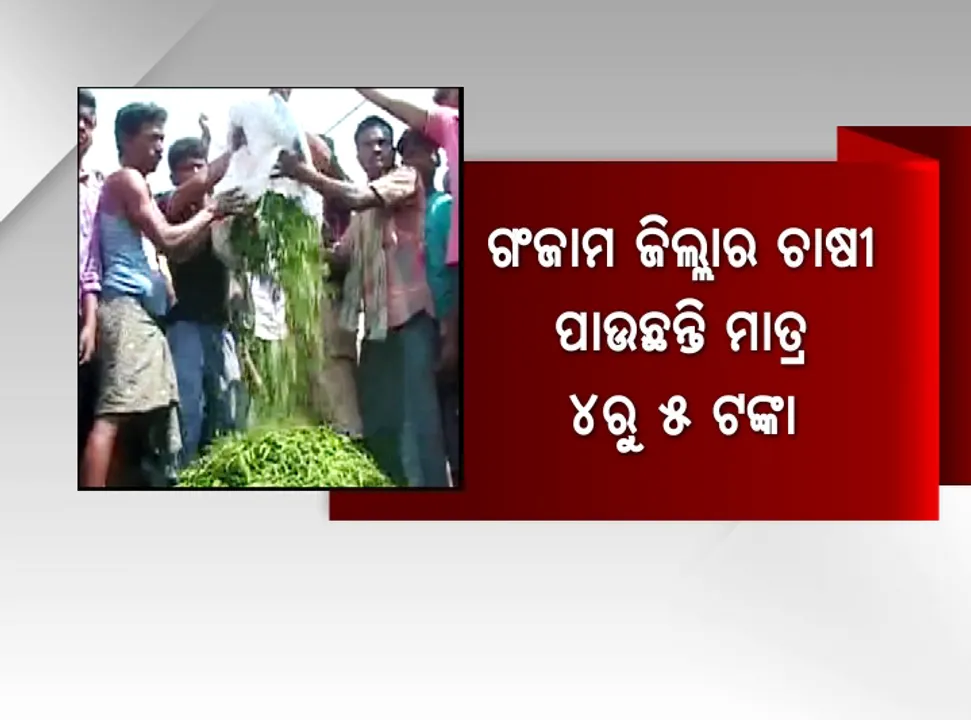  ଲଙ୍କା ବୁହାଇଲା ଲୁହ ! ଚାଷୀଙ୍କୁ ଦାଉ ସାଜିଛି ଅଭାବି ବିକ୍ରି