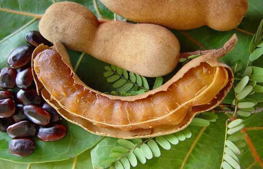  ତେନ୍ତୁଳି ଖାଇଲେ କ’ଣ ସୁଫଳ ମିଳେ ଜାଣନ୍ତୁ ?