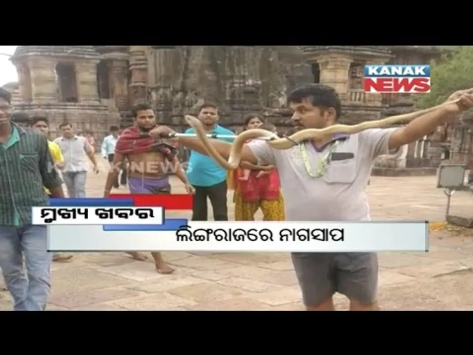  ପ୍ରାଇମ୍ ଟାଇମ୍ ନ୍ୟୁଜ୍ : ୨୩– ୦୪ -୧୭