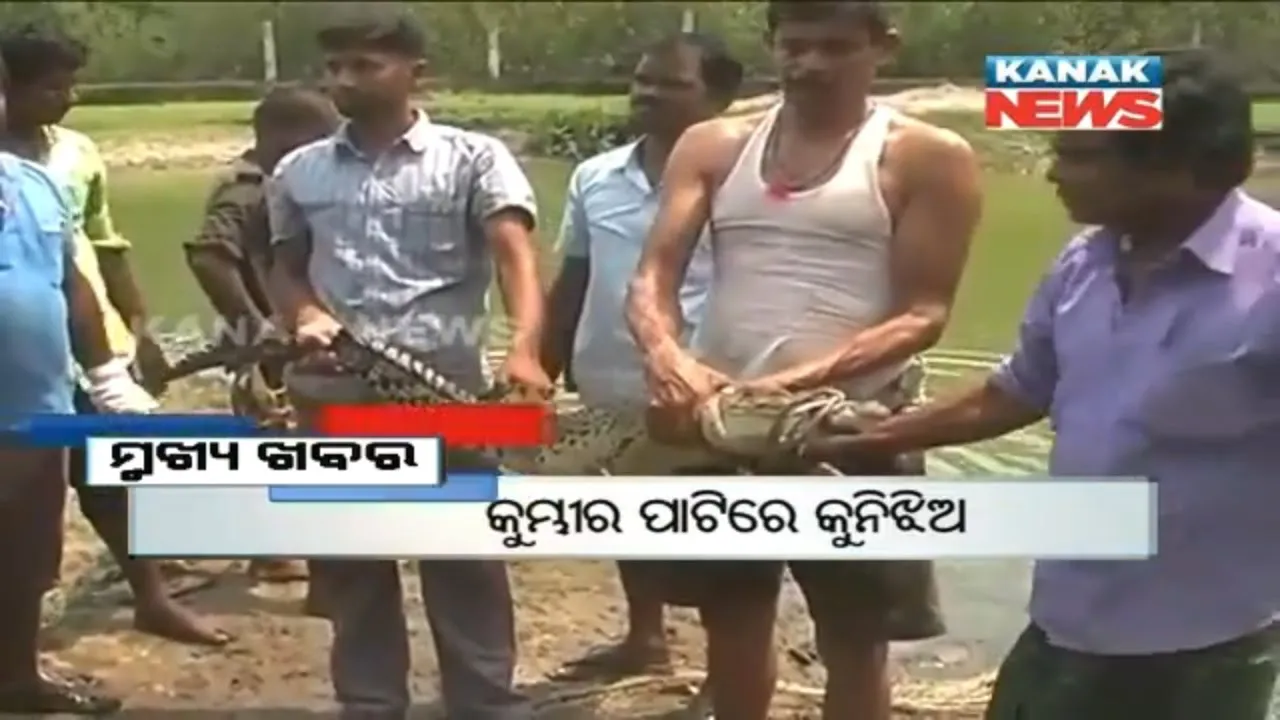  ପ୍ରାଇମ୍ ଟାଇମ୍ ନ୍ୟୁଜ୍ : ୦୫–୦୪ -୧୭