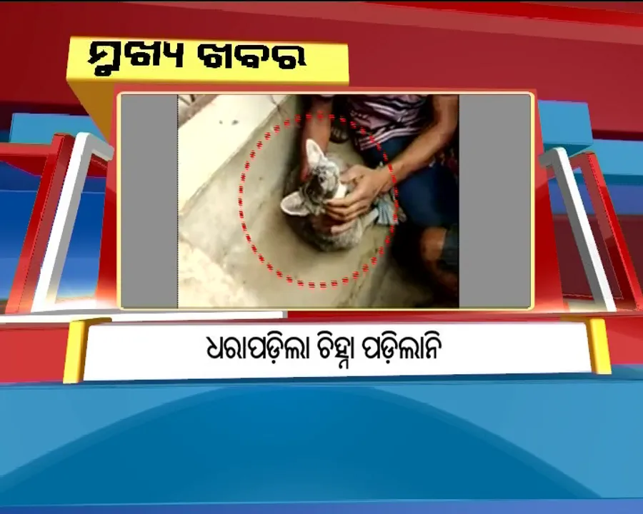  ପ୍ରାଇମ୍ ଟାଇମ୍ ବୁଲେଟିନ୍ : ୦୯/୦୭/୧୭