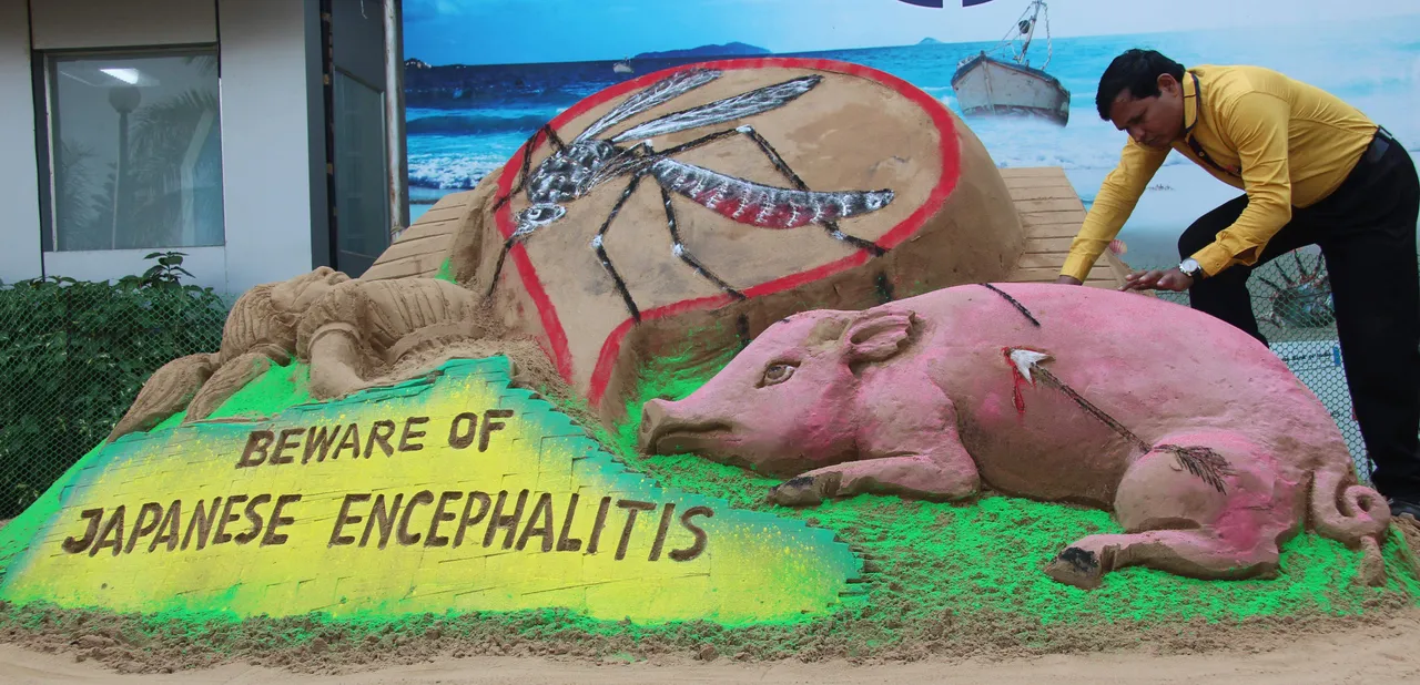  Image Courtesy : japanese encephalitis in up 