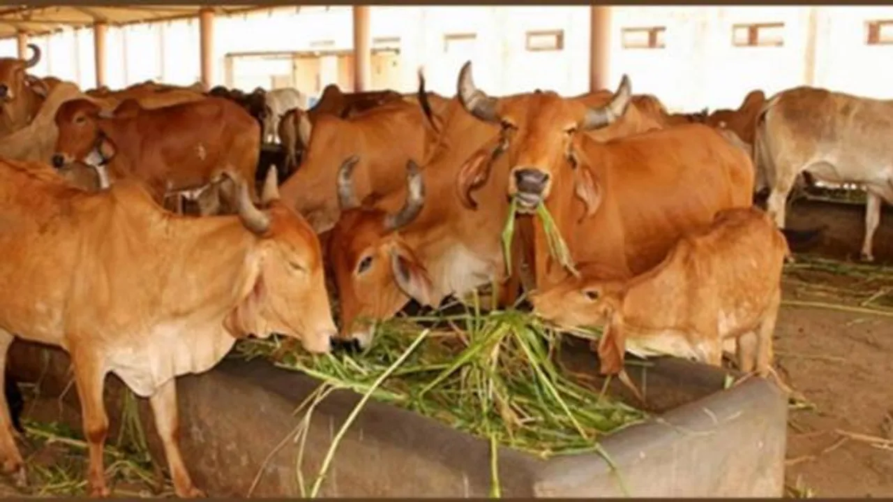  image courtesy- http://aajtak.intoday.in 