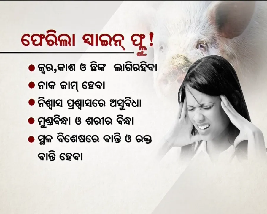  ଓଡ଼ିଶା ଫେରିଲା ସ୍ୱାଇନ୍ ଫ୍ଲୁ ! ରାଜଧାନୀରେ ୫ ରୋଗୀ ଚିହ୍ନଟ, ବିଭିନ୍ନ ଘରୋଇ ହସପିଟାଲରେ ଚାଲିଛି ଚିକିତ୍ସା
