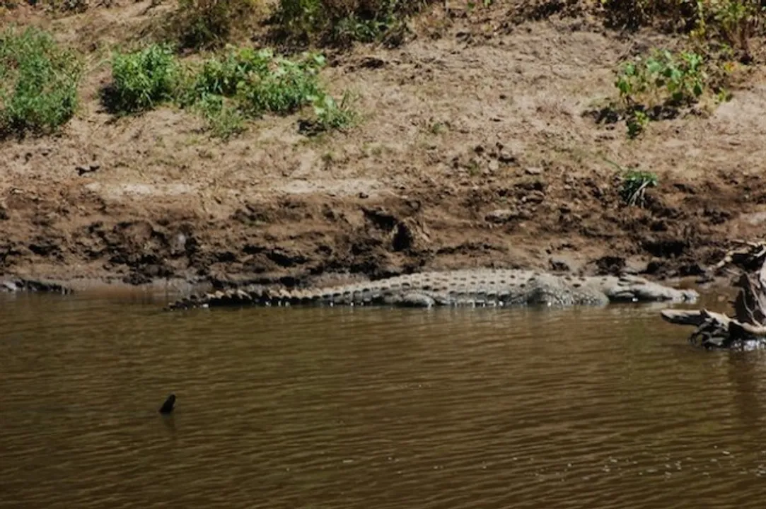  source-http://www.ipsnews.net 