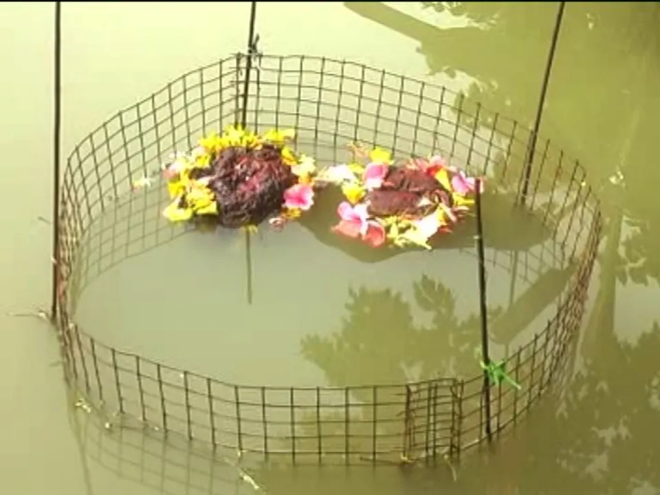  ଜଗତସିଂହପୁର : ବିରାଟ କଟକ ଗାଁ ନିକଟସ୍ଥ ହସୁଁଆ ନଦୀରେ ଭାସୁଛି ପଥର