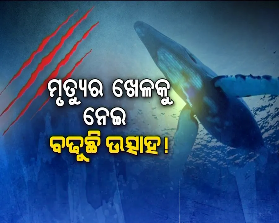  ଆତଙ୍କର ନୀଳତିମି ! ଇଂଟରନେଟରୁ ବ୍ଲୁହ୍ୱେଲ୍ ଗେମର ଲିଙ୍କ୍ ଖୋଜୁଛନ୍ତି କୋମଳମତି ଛାତ୍ରଛାତ୍ରୀ