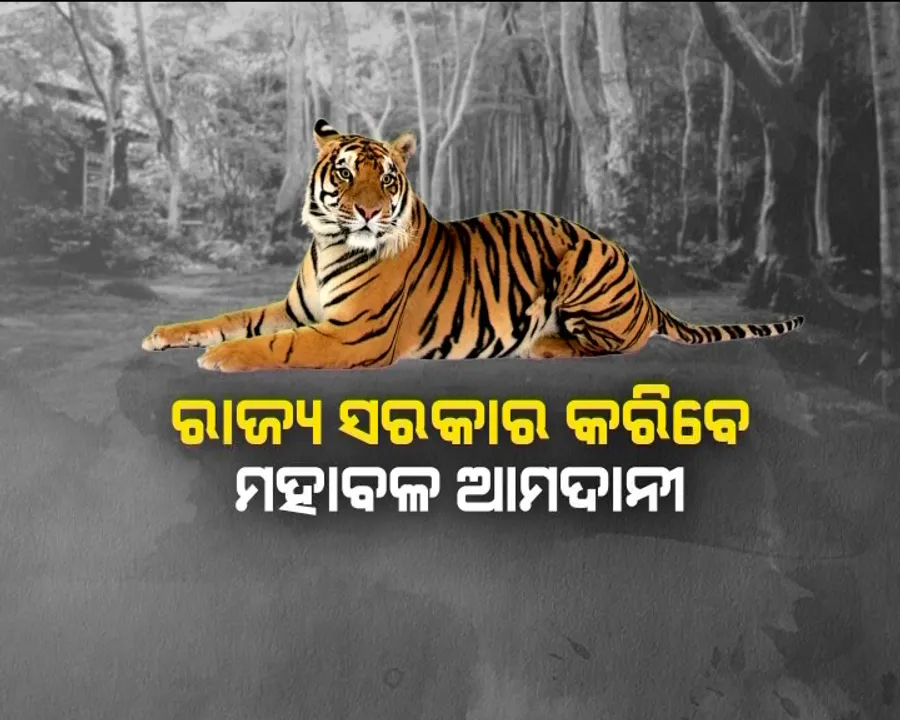  ଓଡ଼ିଶା ହରିଣକୁ ଖାଇବ ମଧ୍ୟପ୍ରଦେଶ ବାଘ ! ଜୈବ ସନ୍ତୁଳନ ପାଇଁ ପଦକ୍ଷେପ ନେବେ ସରକାର