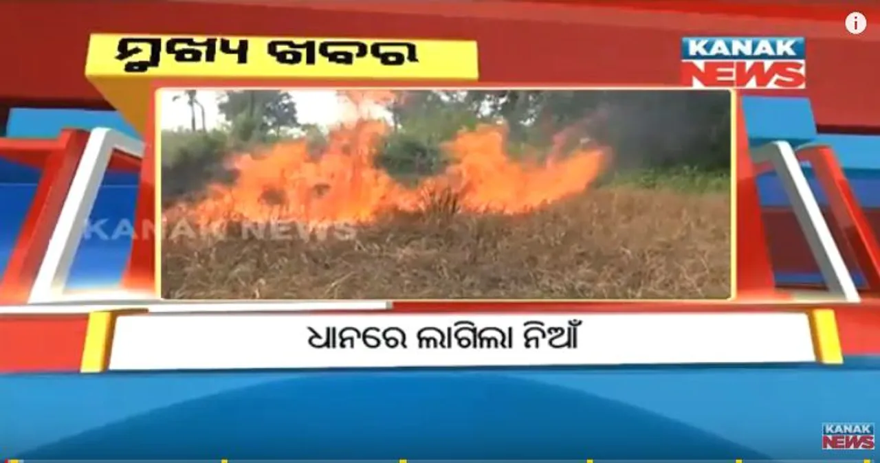  ପ୍ରାଇମ୍ ଟାଇମ୍ ନ୍ୟୁଜ୍ : ୩୧-୧୦-୧୭