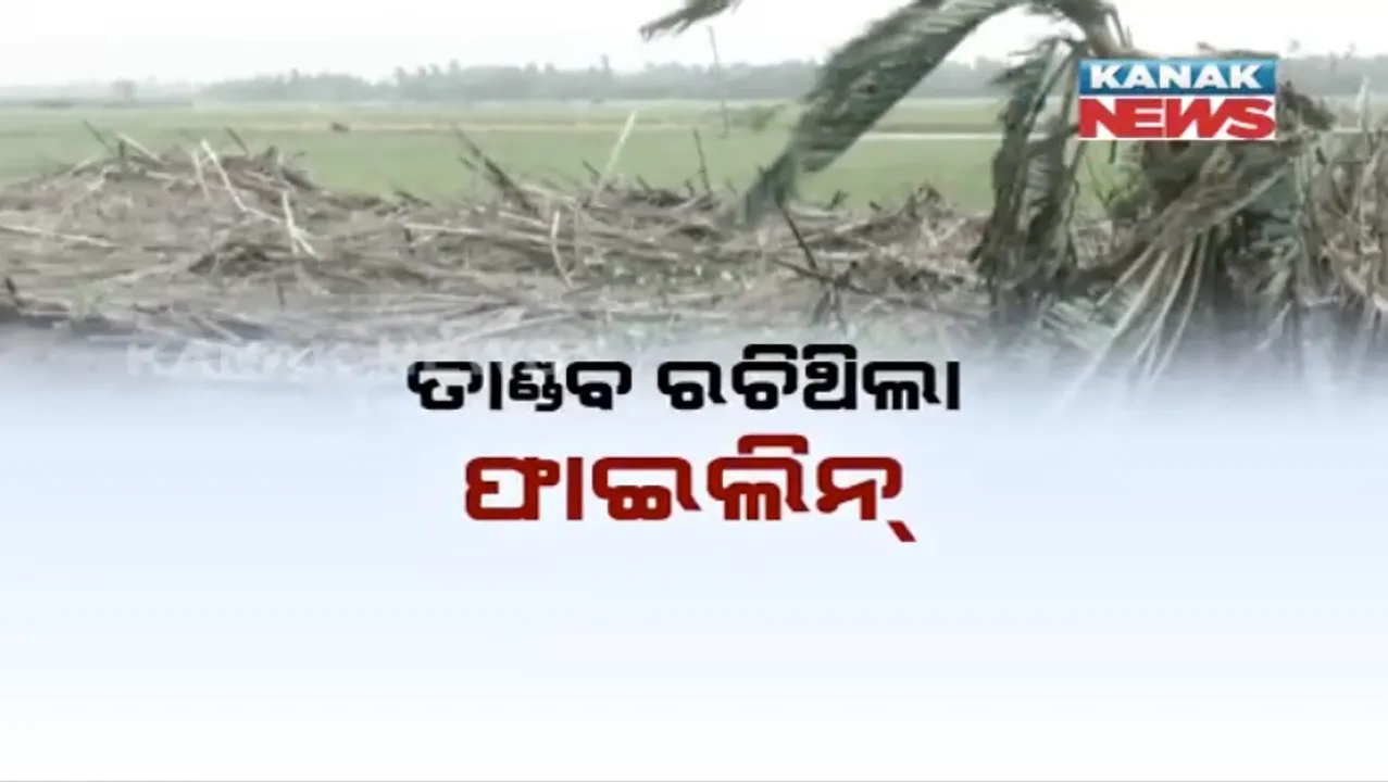  kanak news 