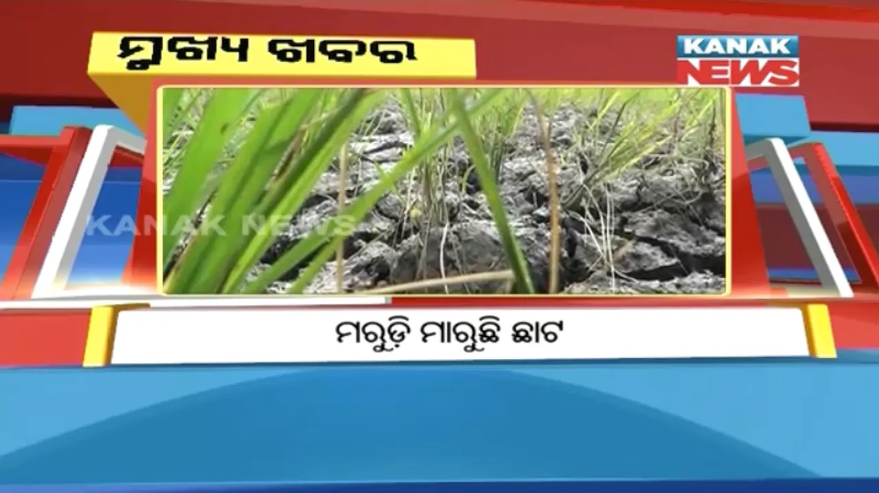  ପ୍ରାଇମ୍ ଟାଇମ୍ ନ୍ୟୁଜ୍ : ୨୪-୧୦-୨୦୧୭