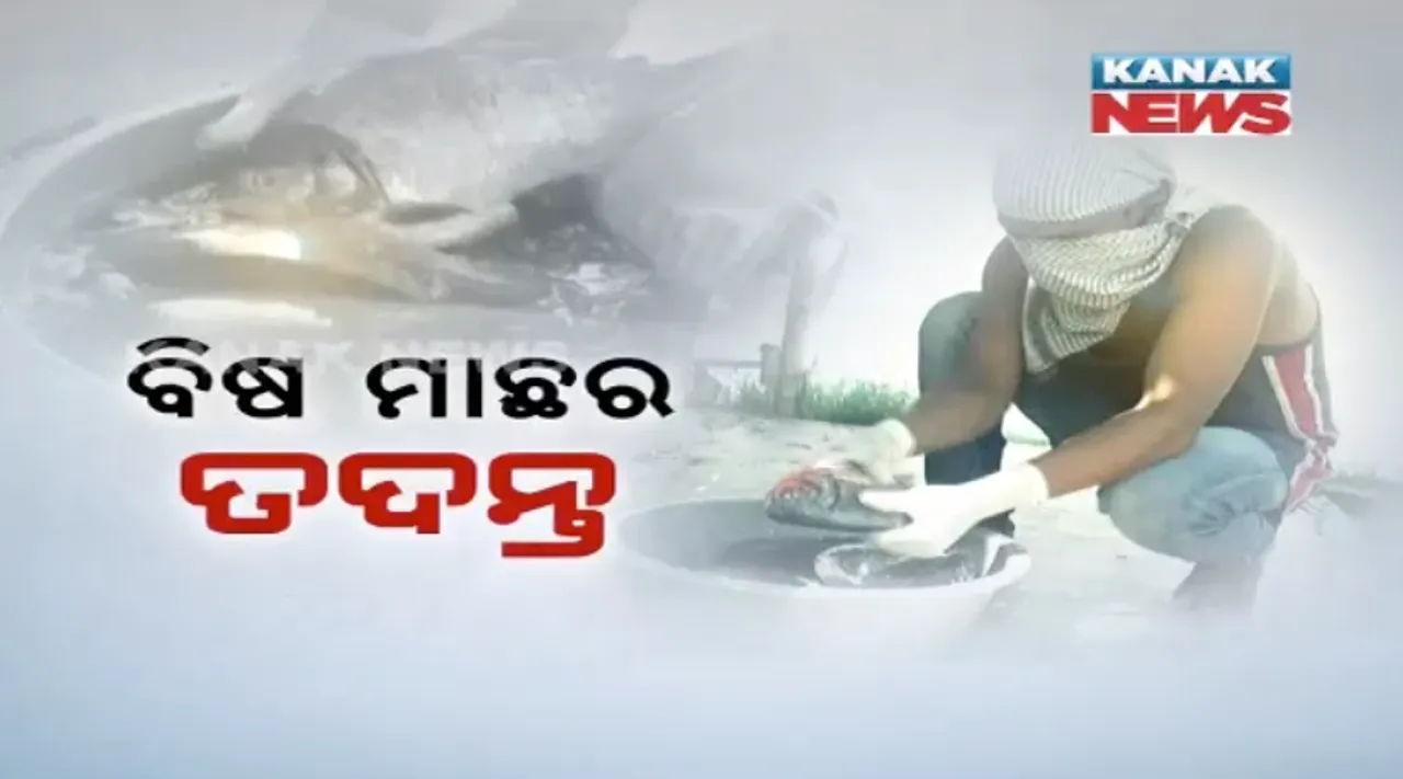  ଅସ୍ତରଙ୍ଗରେ ବିଷ ମାଛର ଛାନଭିନ୍ : ନମୂନା ସଂଗ୍ରହ କଲେ ୪ଜଣିଆ ଟିମ୍