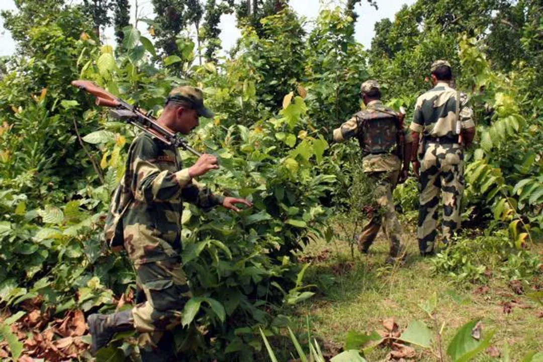  image courtesy-http://www.livemint.com 