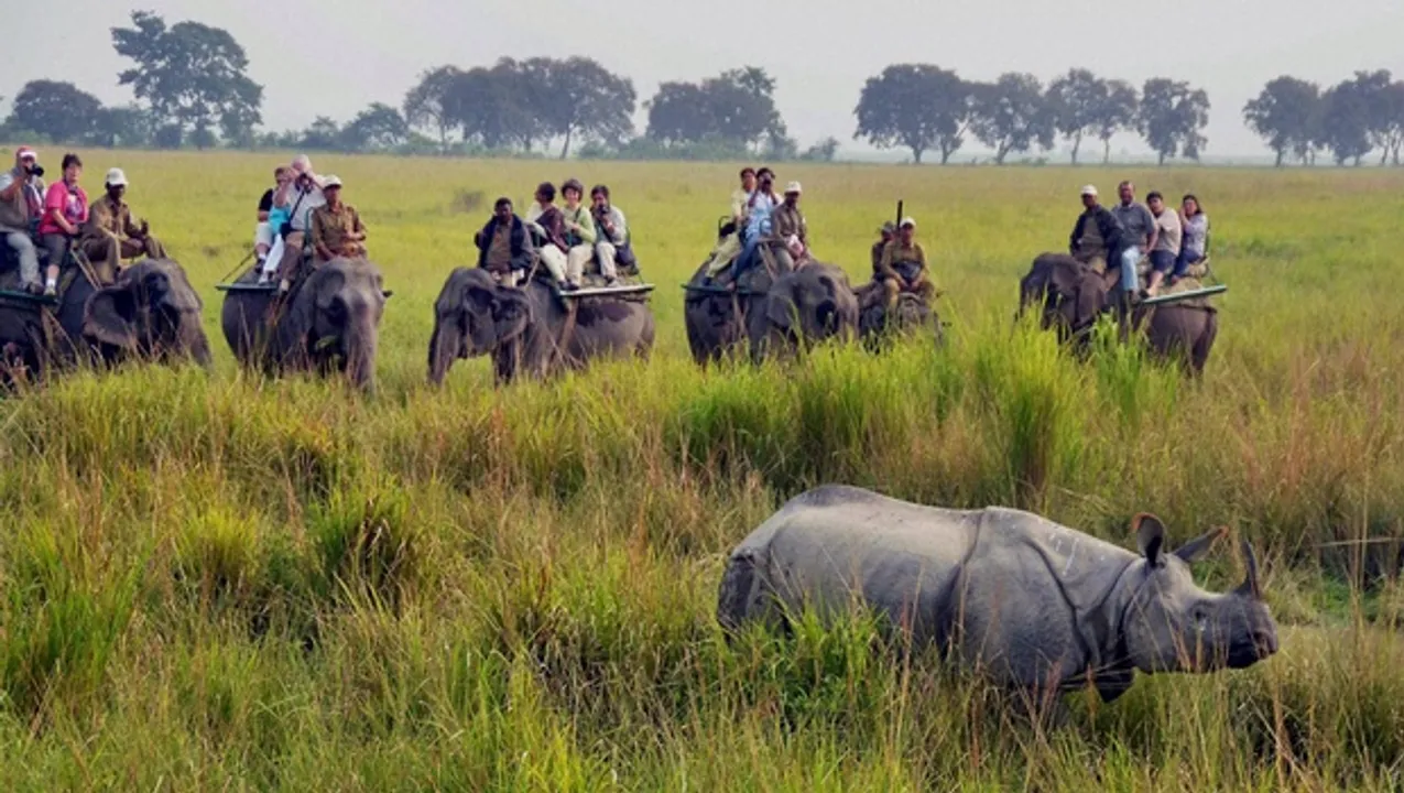  image courtesy-http://www.pratidintime.com 