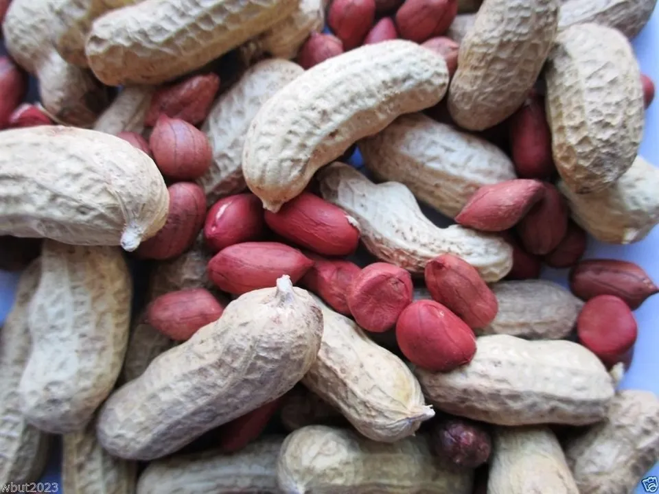  Image Courtesy : peanut health benefits  