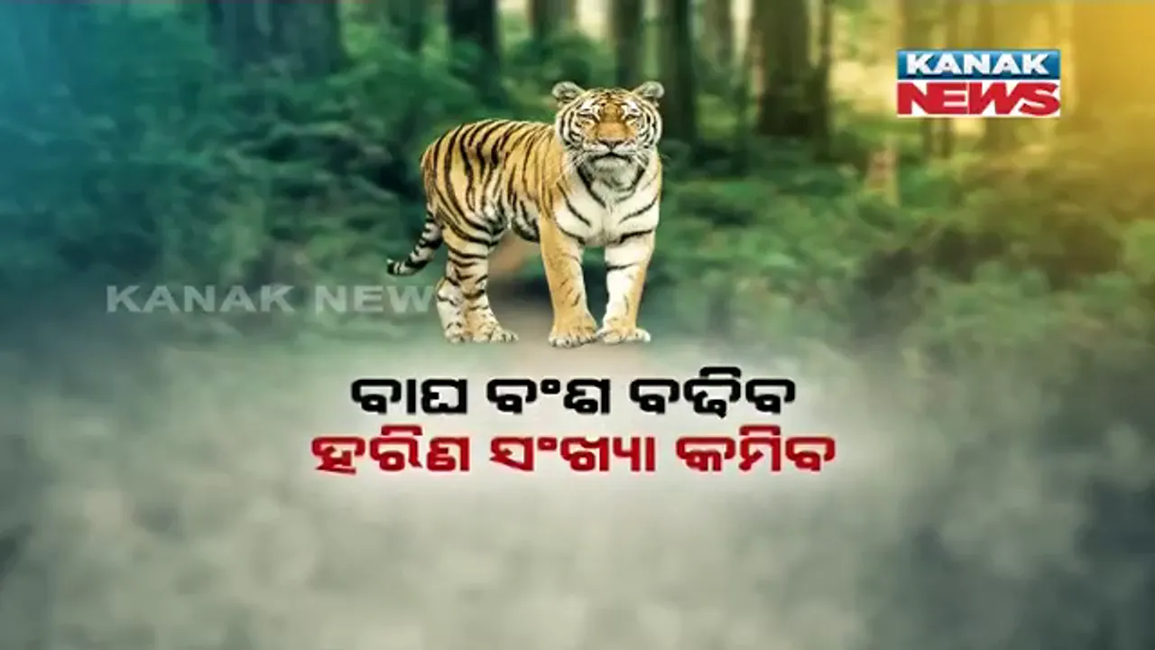  ଓଡ଼ିଶା ଜଙ୍ଗଲକୁ ଆସିବ ମଧ୍ୟପ୍ରଦେଶ ବାଘ ! ସାତକୋଶିଆରେ ରକ୍ଷା କରିବ ଜୈବିକ ସନ୍ତୁଳନ