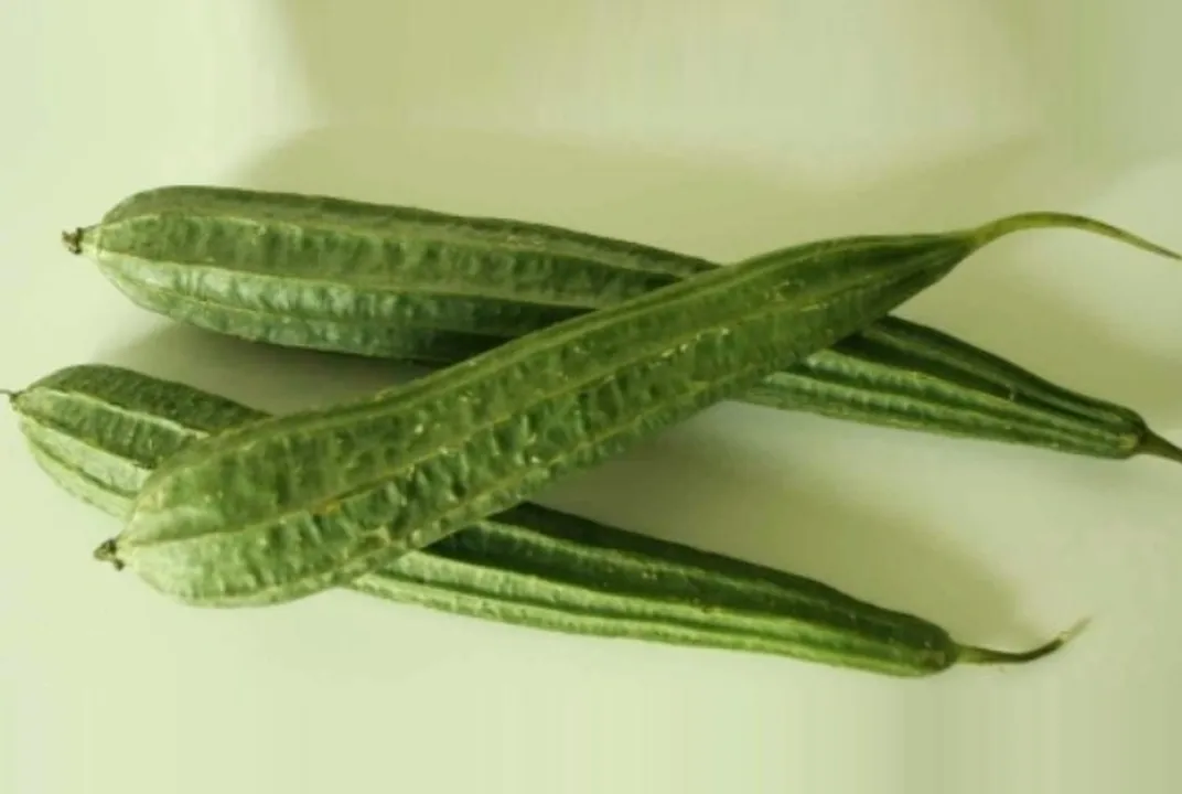  source:google.co.in 