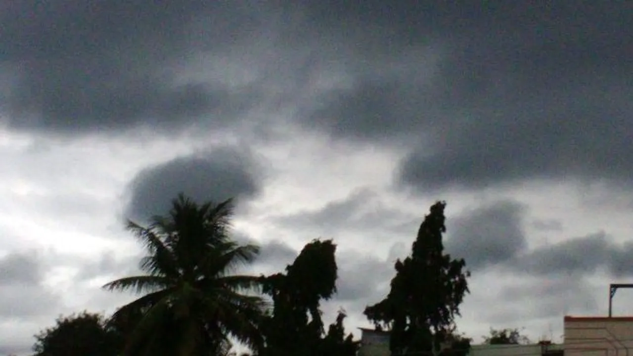  image courtesy-http://www.odishanewsinsight.com 