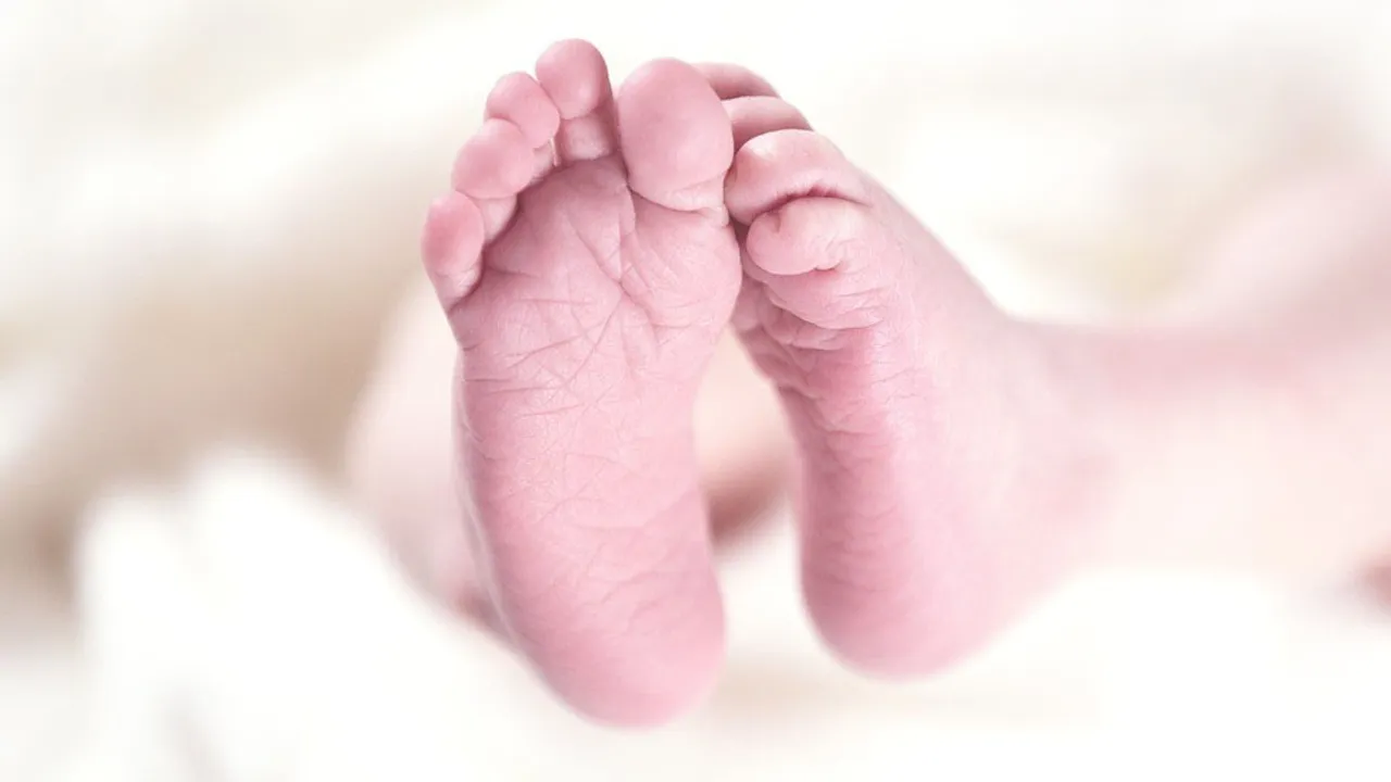  image courtesy-https://familypolicyalliance.com 