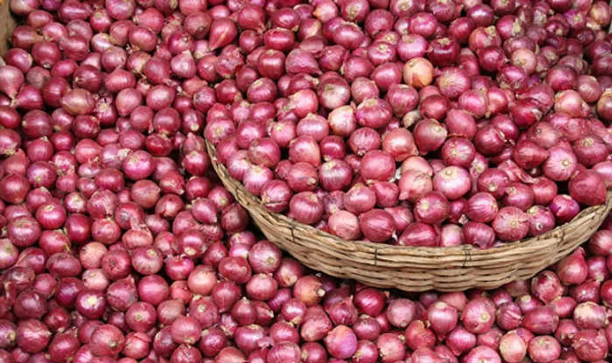  image courtesy-
 http://s3.india.com 