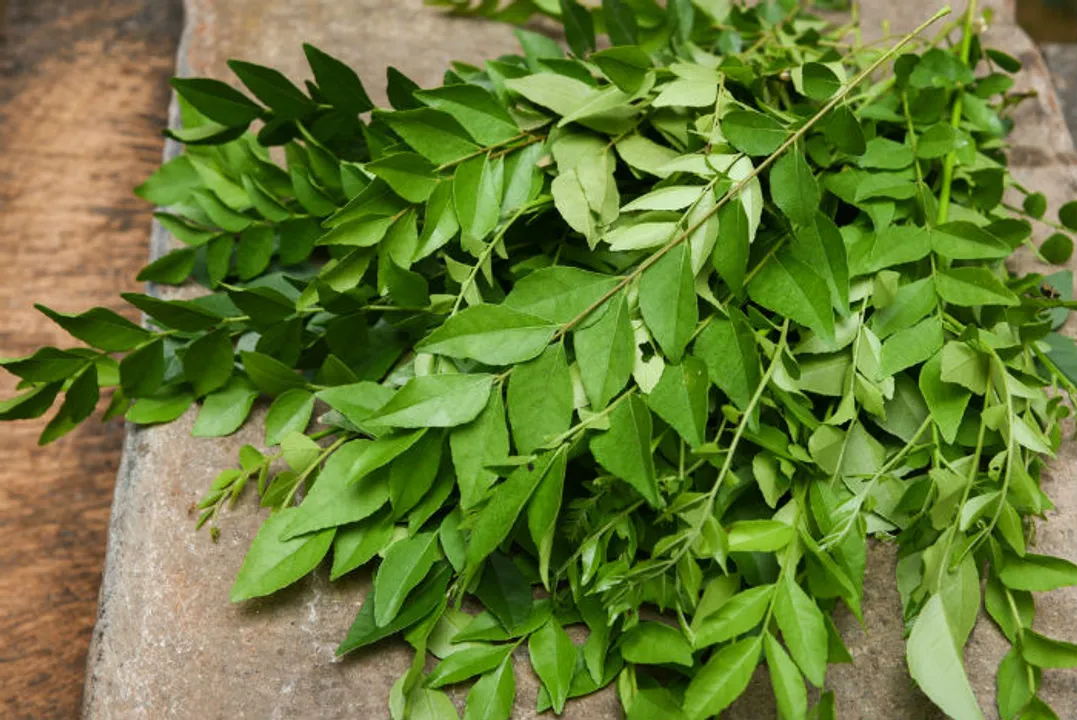  Source:india.com 