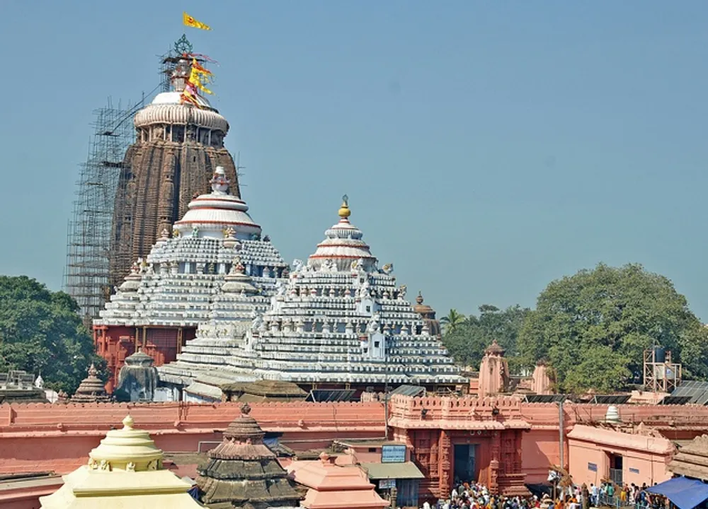  ଜଗମୋହନରେ ନଡ଼ିଆପିଟାକୁ ବାରଣ । ଶ୍ରୀମନ୍ଦିର ପ୍ରଶାସନର କଟକଣା 