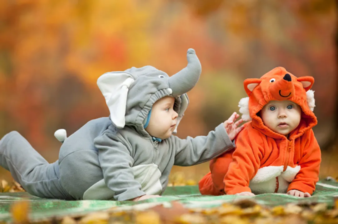  image courtesy -http://www.mapleleafchildcare.com 