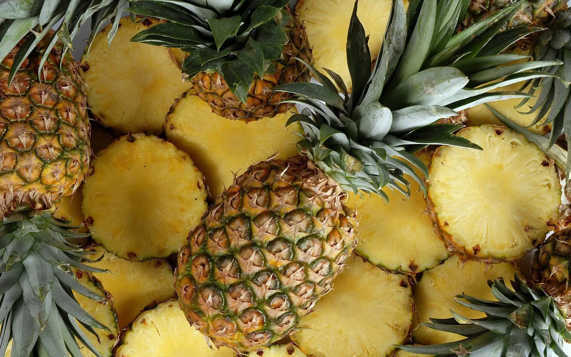  Source:greenblender.com 