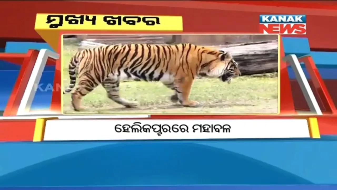  ପ୍ରାଇମ୍ ଟାଇମ୍ ନ୍ୟୁଜ୍ : ୧୩-୦୨-୧୮