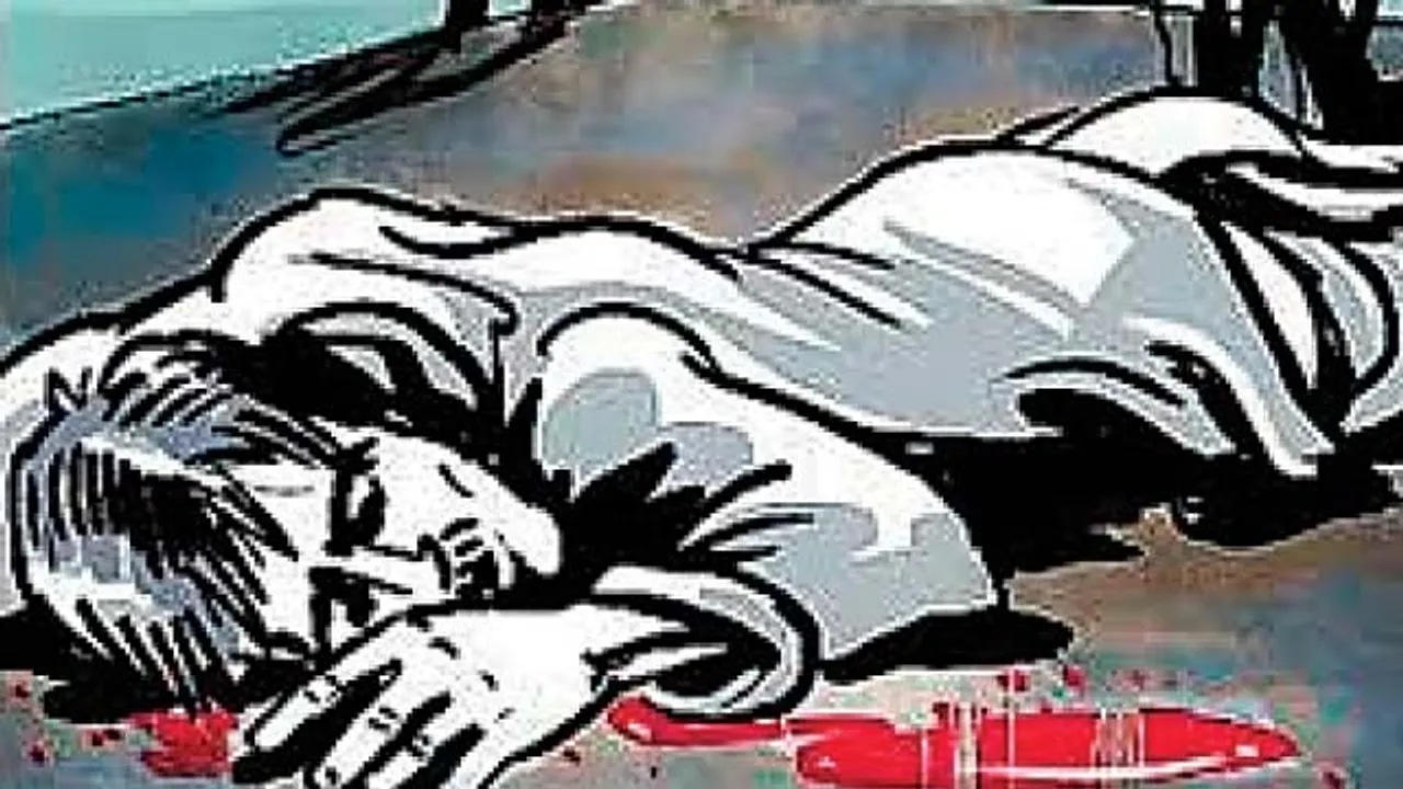  IMAGE COURTESY-https://www.google.co.in 