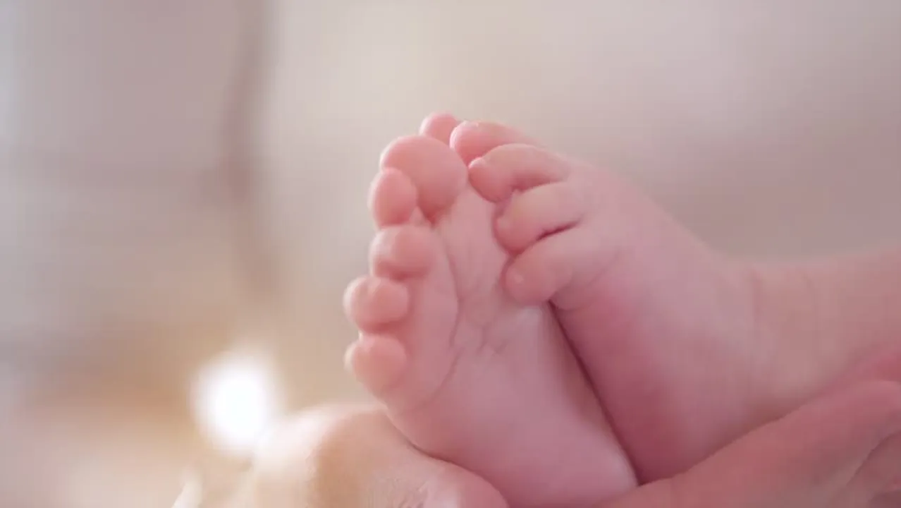  image courtesy-https://www.shutterstock.com 