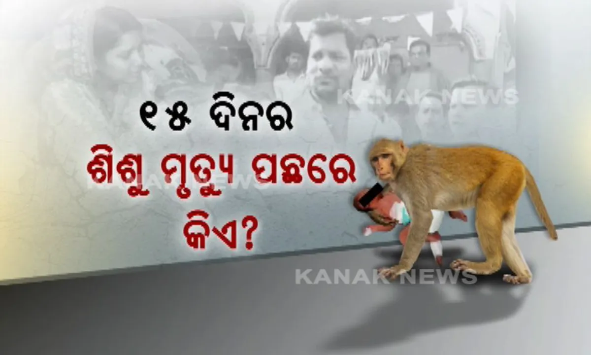  ବାଙ୍କୀ ତାଳବସ୍ତରେ ଶିଶୁପୁତ୍ରକୁ ମାଙ୍କଡ ମାରିଲା ନା ମଣିଷ ? ସନ୍ଦେହ ଭିତରେ ପରିବାରକୁ ତଦନ୍ତ ପରିସରଭୁକ୍ତ କଲା ପୋଲିସ