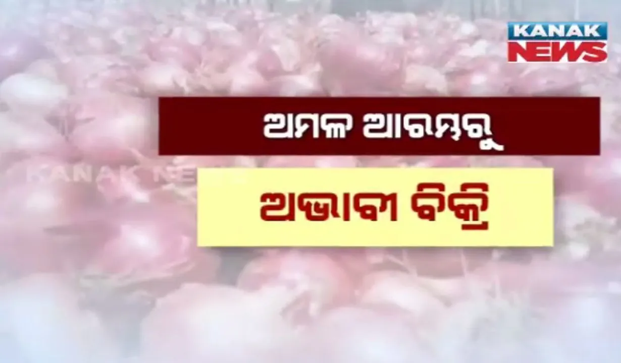  କଳାହାଣ୍ଡିରେ ବିଲରେ ସଢୁଛି ପିଆଜ ! ସଂରକ୍ଷଣ ବ୍ୟବସ୍ଥା ନଥିବାରୁ କିଲୋ ପିଛା ୬ ଟଙ୍କାରେ ନେଉଛନ୍ତି ଆନ୍ଧ୍ର ଓ ଛତିଶଗଡ ବ୍ୟବସାୟୀ