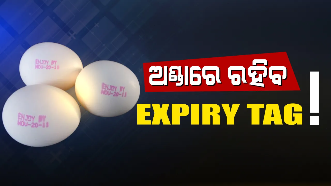  ଆଉ ଗ୍ରାହକଙ୍କୁ ଠକିପାରିବେନି ବ୍ୟବସାୟୀ ! ଏଣିକି ବଜାରରେ ମିଳିବ ଏକ୍ସପାୟରୀ ଡେଟ ଥିବା ଅଣ୍ଡା, ବଲାଙ୍ଗୀର ଓଭୋ ହେଚେରି ଫାର୍ମରେ ସୁଇସ ପଦ୍ଧତିରେ ଅଣ୍ଡାରେ ଲେଖାହେଲା ସମୟସୀମା ତାରିଖ