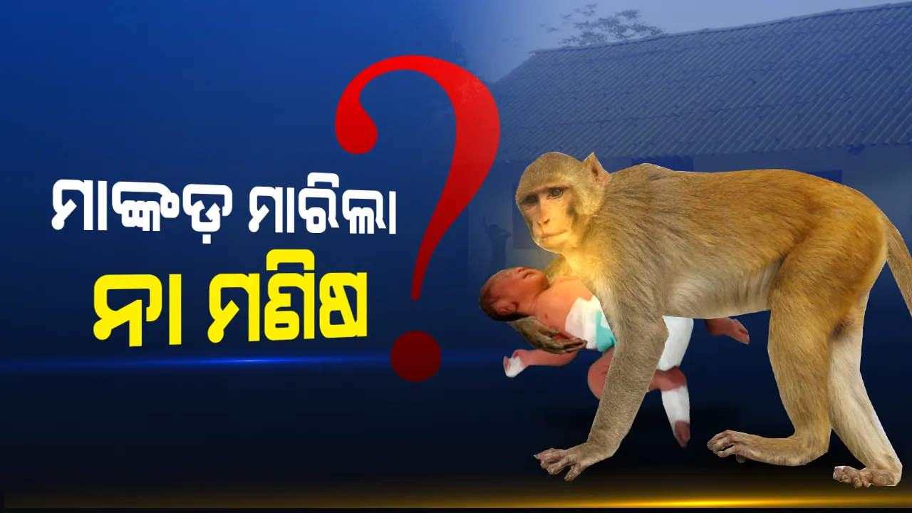 ୧୫ ଦିନର ଶିଶୁକୁ ମାରିଲା କିଏ ? ମାଙ୍କଡ ନା ମଣିଷ, ପୋଷ୍ଟମର୍ଟମ କରିଥିବା ଡାକ୍ତର ଦେଲେ ଚାଞ୍ଚଲ୍ୟକର ବୟାନ